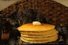 cat pancakes GIF