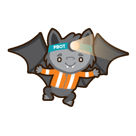 Night Bat Sticker by PBOT Info
