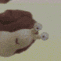 Bubbles Snail GIF by TeaCosyFolk