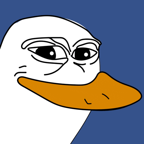GIF by NightQuest