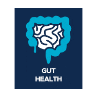 Florastor_canada gut health florastor florastor canada Sticker