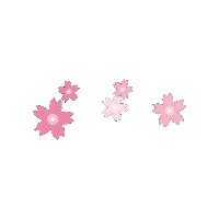 Flower 花 Sticker by Pandokabushikigaisha