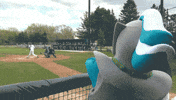 collegeoflakecounty baseball school college education GIF