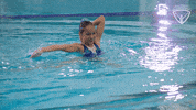 Arc Olympian GIF by All-Round Champion