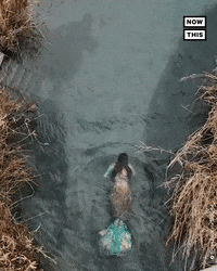 Mermaid Swimming GIF by NowThis