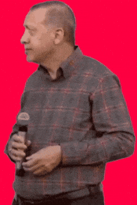Rte Tayyip GIF