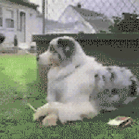 GIF by Demic