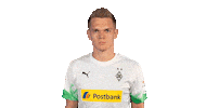 Matthias Ginter Bundesliga Sticker by Borussia Mönchengladbach