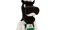 Bundesliga Diefohlen Sticker by Borussia Mönchengladbach