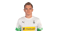 Matthias Ginter Bundesliga Sticker by Borussia Mönchengladbach