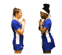 College Sports Love Sticker by Delaware Blue Hens