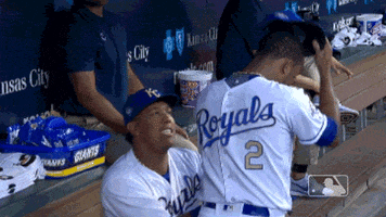 mess dugout GIF by MLB