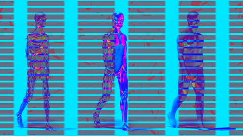 alfabody giphyupload GIF