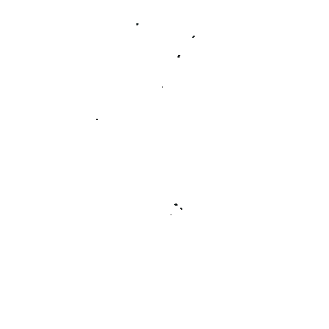 Usd Sticker by Union Southampton Dance