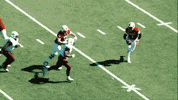 College Football GIF by Texas State Football