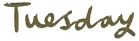 Tuesday Sticker by Louisa Taylor Studio