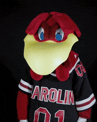 Oh No Goodbye GIF by University of South Carolina