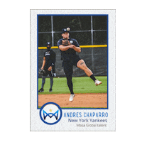 Baseball Mlb Sticker by Masa Global Talent