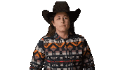 Cowboy Sticker by INSP
