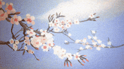 Plum Blossoms Art GIF by Alice Suret-Canale