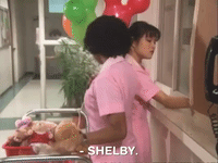 the mystery files of shelby woo nicksplat GIF