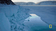 one strange rock GIF by National Geographic Channel