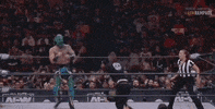 Aew On Tnt Private Party GIF by All Elite Wrestling on TNT