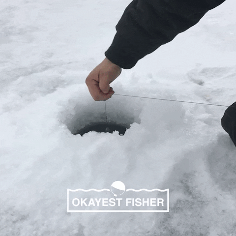Fish Ice GIF by Okayest Hunter