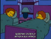 season 8 todd flanders GIF