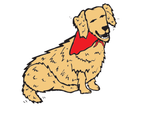 Koslik giphyupload dog puppy golden retriever Sticker