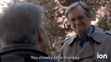 You Cheeky Little Monkey