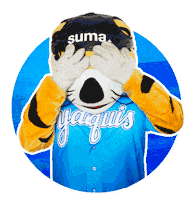 mexico baseball Sticker by Yaquis de Obregón