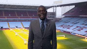 happy premier league GIF by Aston Villa FC