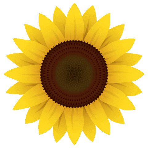 kartazy giphyupload flower sun yellow Sticker