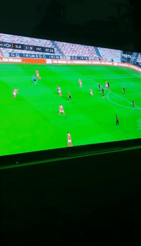 joaoalmodovar giphygifmaker giphygifmakermobile benfica GIF