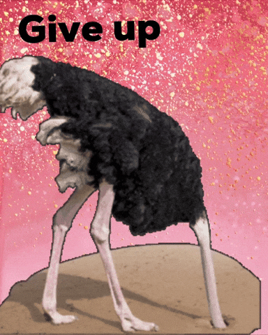 Give Up Bird GIF