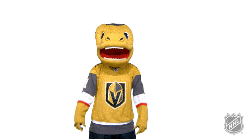 Vegas Golden Knights Sport GIF by NHL