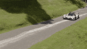 artificial intelligence ai GIF by Roborace