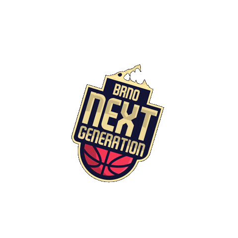 Nextgenerationbasketbrno Sticker by ngbasket