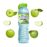 apabucovina bucovina bucovinafructata apabucovina applebucovina Sticker