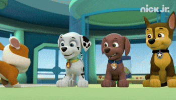 High Five Paw Patrol GIF by Nick Jr