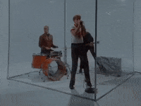 Butterfly Dreamland GIF by COIN