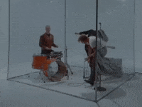Butterfly Dreamland GIF by COIN
