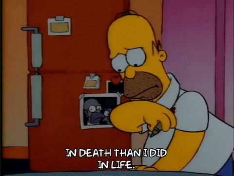Season 1 Episode 3 GIF by The Simpsons