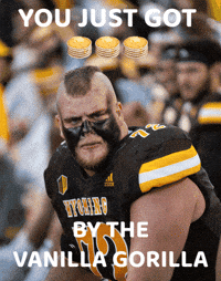 Chicago Bears Football GIF