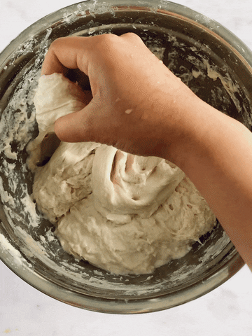 murmursofricotta giphyupload GIF