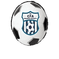 Soccer Ball Sticker by CFA OC