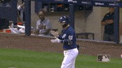 Major League Baseball Sport GIF by MLB