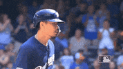 Major League Baseball Sport GIF by MLB