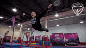 allroundchampiontv olympics gymnastics athletics athlete GIF